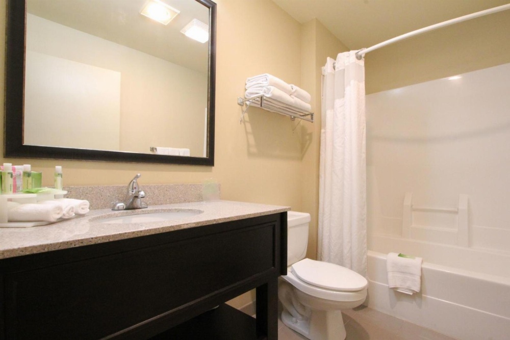 Holiday Inn Express Hotel & Suites Chicago-Libertyville
