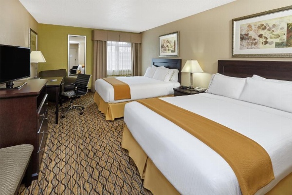 Holiday Inn Express Hotel & Suites Chicago-Libertyville image 10